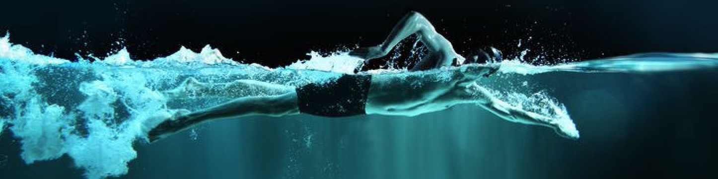 Artificial Intelligence and Feedback in Professional Sports